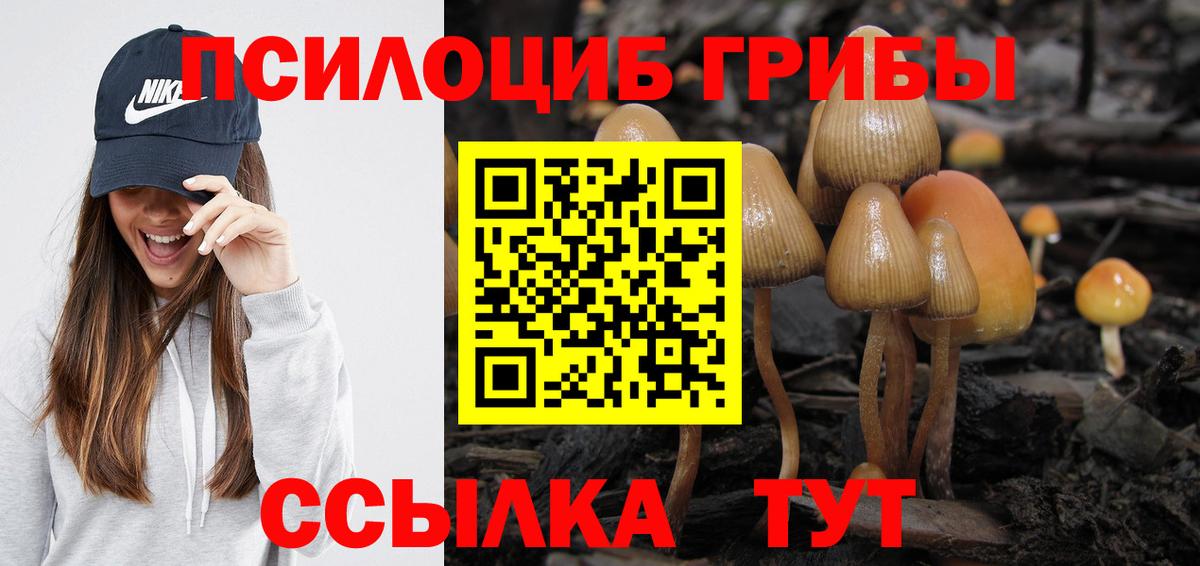 Апатиты  Псилоцибиновые грибы GOLDEN TEACHER  Вход с VPN  Псилоцибиновые грибы мицелий 